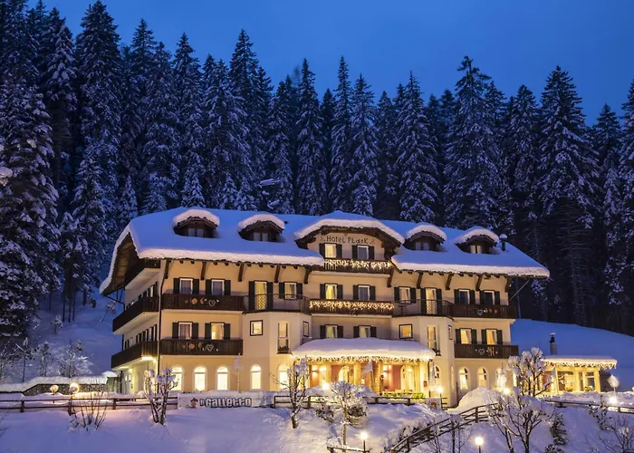 Albergo centrale: Hotel Plank